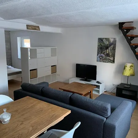 Apartment Ferienwohnung Winterberg Lodge